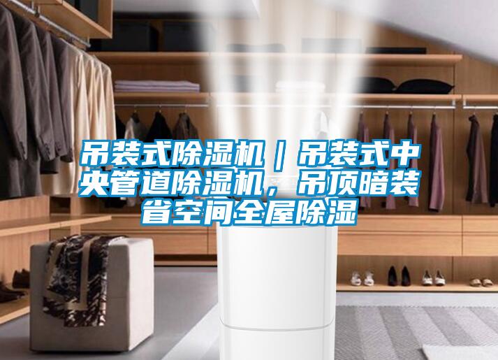 吊裝式除濕機(jī)｜吊裝式中央管道除濕機(jī)，吊頂暗裝省空間全屋除濕