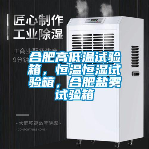 合肥高低溫試驗箱，恒溫恒濕試驗箱，合肥鹽霧試驗箱