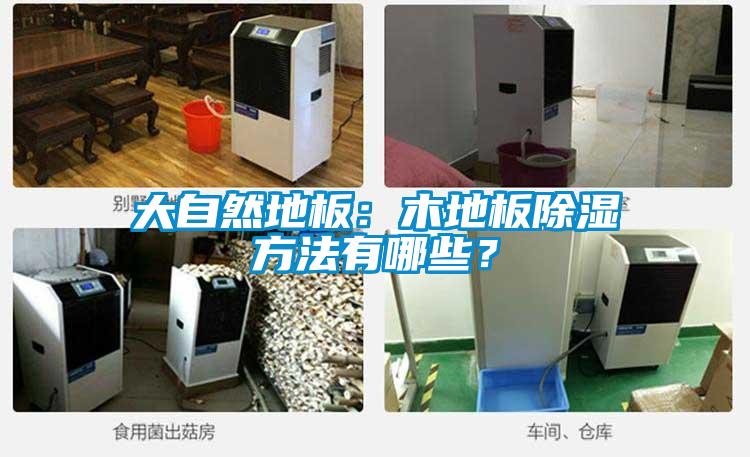 大自然地板：木地板除濕方法有哪些？