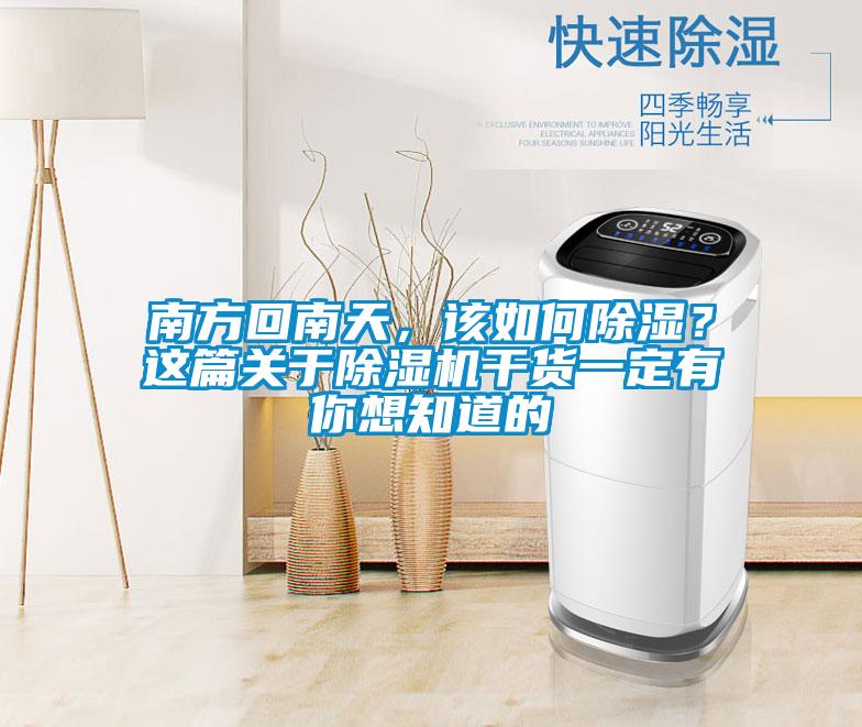 南方回南天，該如何除濕？這篇關(guān)于除濕機(jī)干貨一定有你想知道的