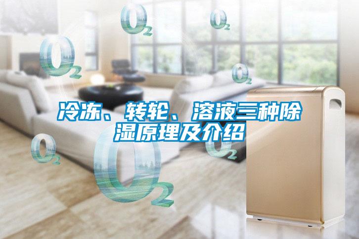 冷凍、轉(zhuǎn)輪、溶液三種除濕原理及介紹