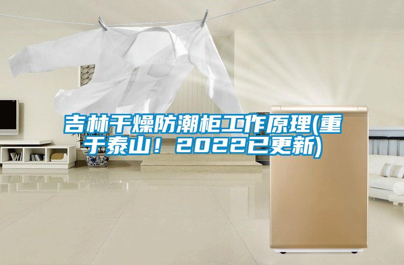 吉林干燥防潮柜工作原理(重于泰山！2022已更新)