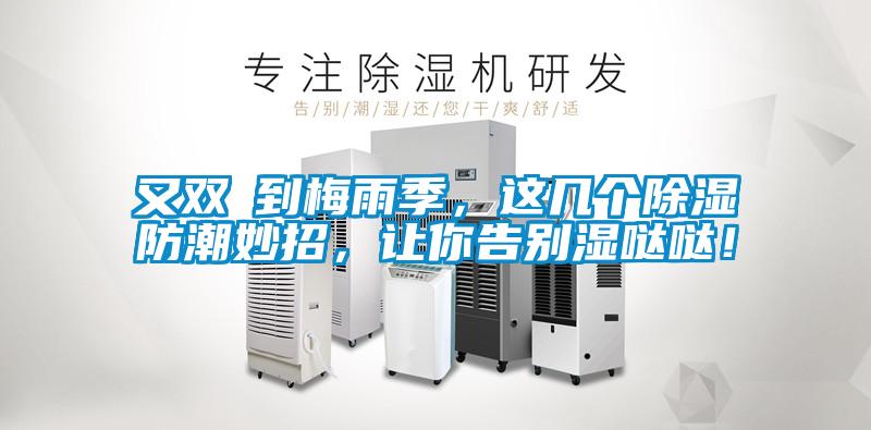 又雙叒到梅雨季，這幾個除濕防潮妙招，讓你告別濕噠噠！