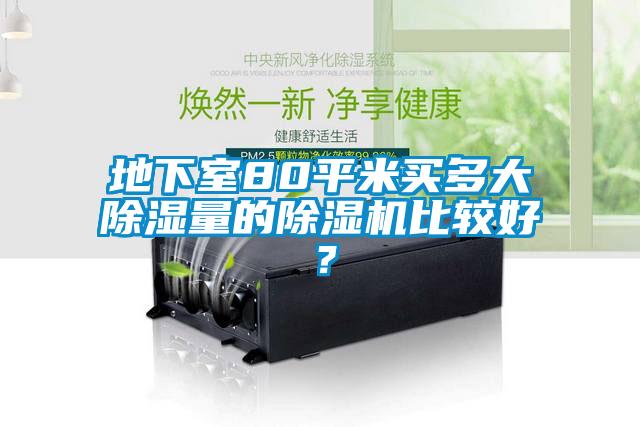 地下室80平米買多大除濕量的除濕機比較好？