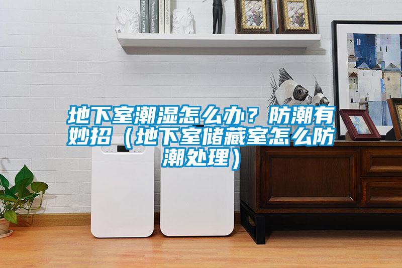 地下室潮濕怎么辦？防潮有妙招（地下室儲(chǔ)藏室怎么防潮處理）