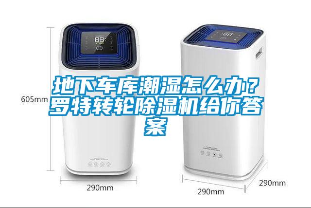 地下車庫潮濕怎么辦？羅特轉(zhuǎn)輪除濕機給你答案
