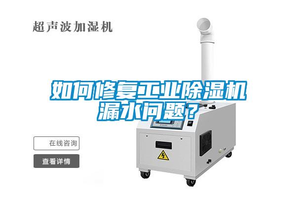 如何修復工業(yè)除濕機漏水問題？
