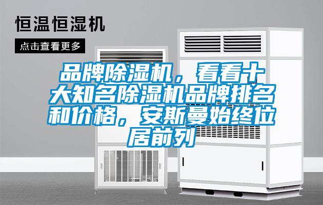 品牌除濕機，看看十大知名除濕機品牌排名和價格，安斯曼始終位居前列