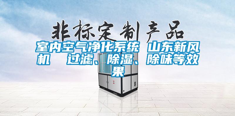 室內(nèi)空氣凈化系統(tǒng) 山東新風(fēng)機(jī)  過濾、除濕、除味等效果