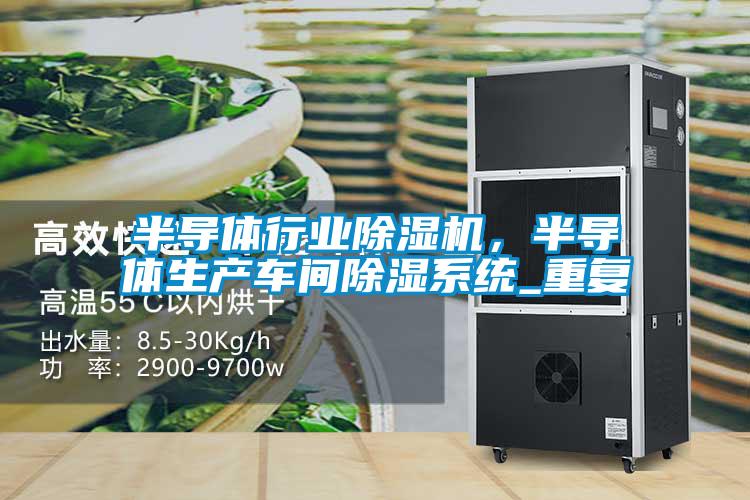 半導(dǎo)體行業(yè)除濕機(jī)，半導(dǎo)體生產(chǎn)車間除濕系統(tǒng)_重復(fù)