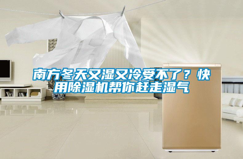 南方冬天又濕又冷受不了？快用除濕機幫你趕走濕氣
