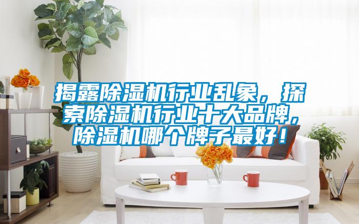 揭露除濕機行業(yè)亂象，探索除濕機行業(yè)十大品牌，除濕機哪個牌子最好！