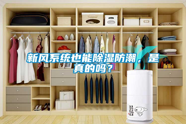 新風(fēng)系統(tǒng)也能除濕防潮，是真的嗎？