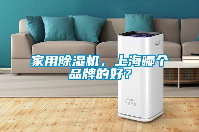 家用除濕機，上海哪個品牌的好？