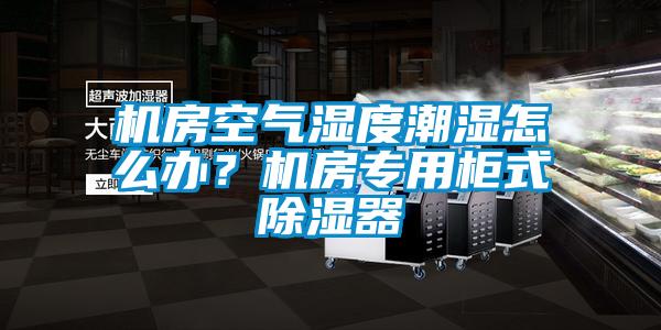 機房空氣濕度潮濕怎么辦？機房專用柜式除濕器