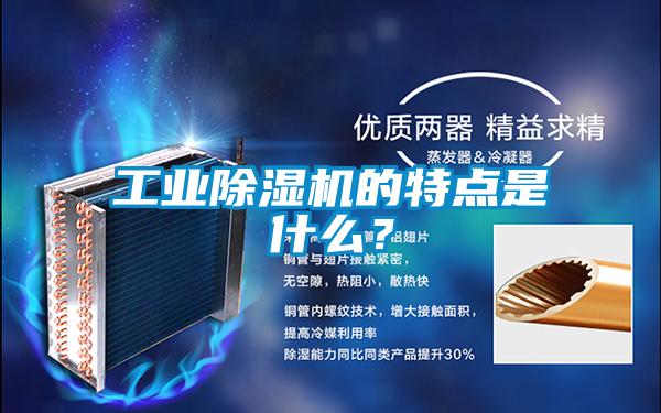 工業(yè)除濕機(jī)的特點(diǎn)是什么？