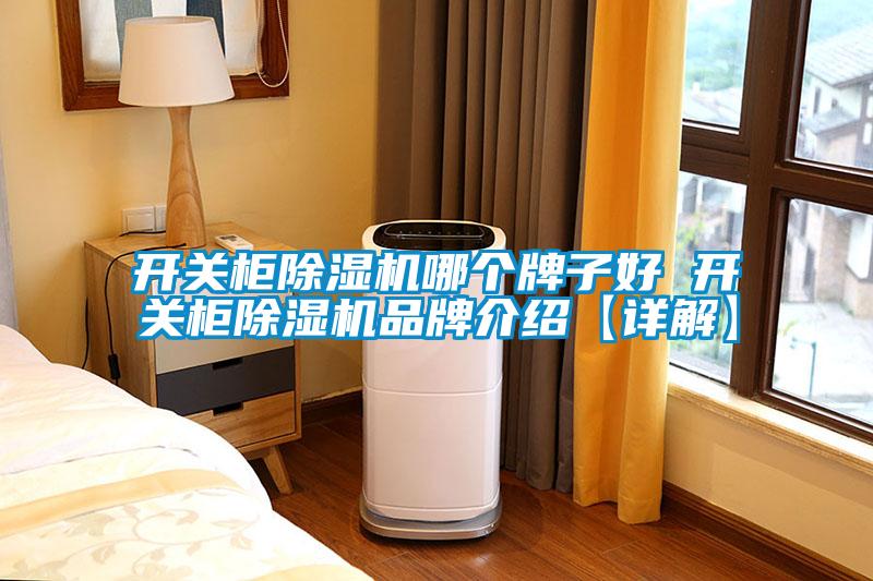 開(kāi)關(guān)柜除濕機(jī)哪個(gè)牌子好 開(kāi)關(guān)柜除濕機(jī)品牌介紹【詳解】
