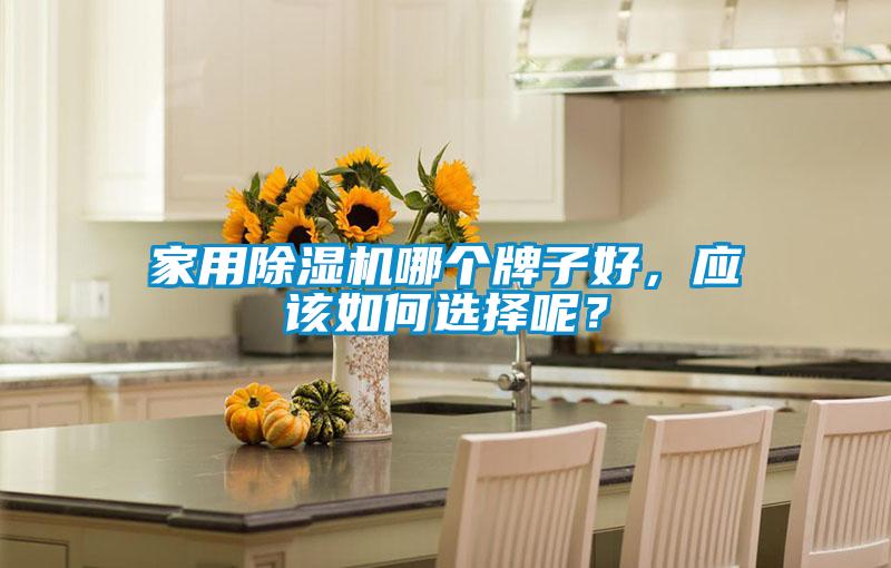 家用除濕機哪個牌子好，應(yīng)該如何選擇呢？