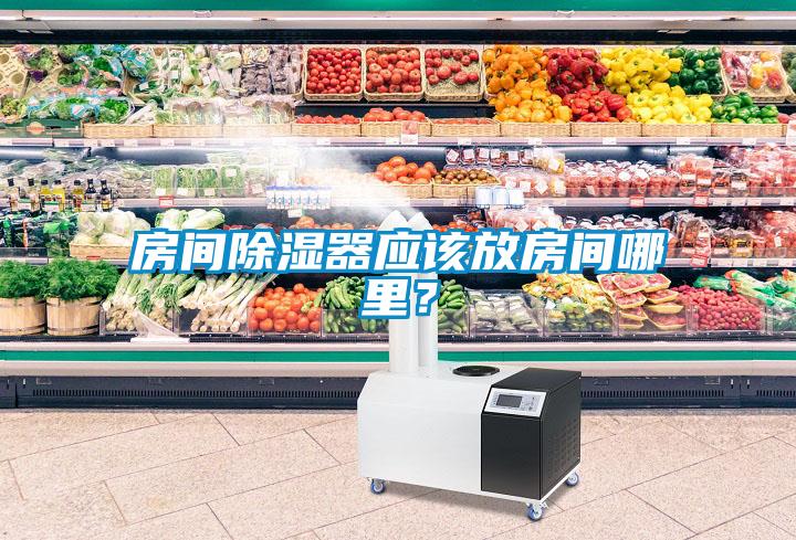 房間除濕器應該放房間哪里？