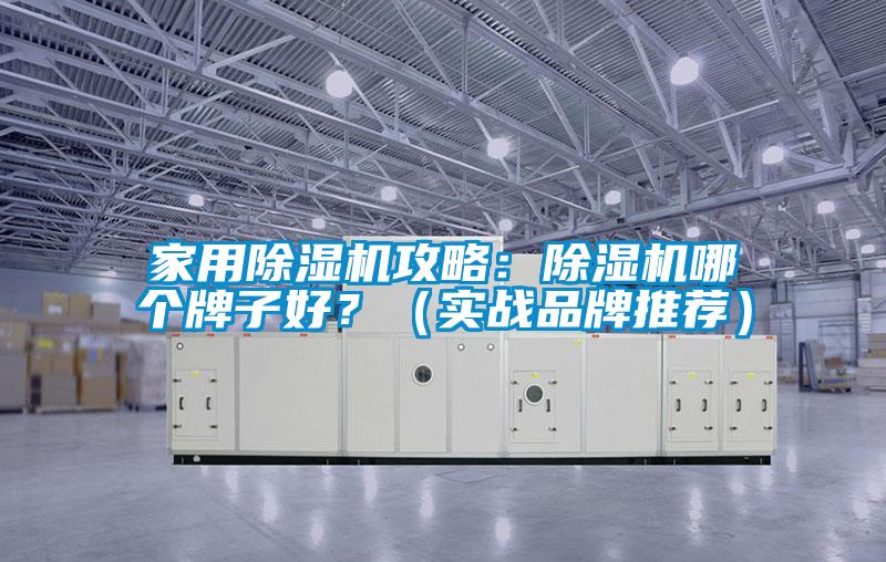 家用除濕機(jī)攻略：除濕機(jī)哪個(gè)牌子好？（實(shí)戰(zhàn)品牌推薦）