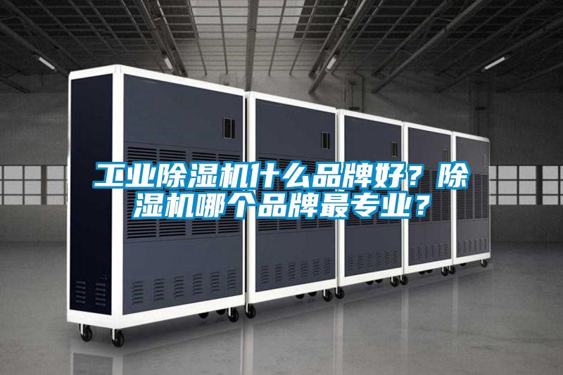 工業(yè)除濕機(jī)什么品牌好？除濕機(jī)哪個品牌最專業(yè)？