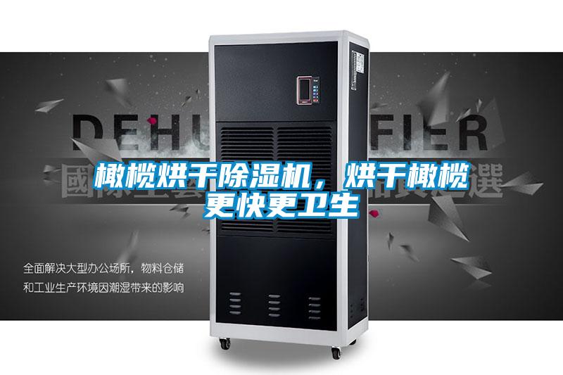 橄欖烘干除濕機(jī)，烘干橄欖更快更衛(wèi)生