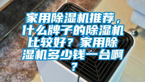 家用除濕機推薦，什么牌子的除濕機比較好？家用除濕機多少錢一臺?。?/></p>
						    <p style=
