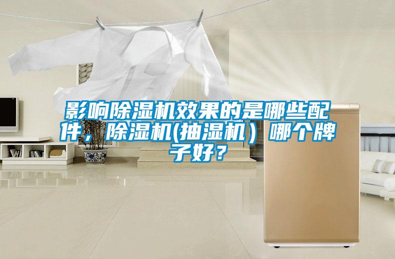 影響除濕機效果的是哪些配件，除濕機(抽濕機）哪個牌子好？