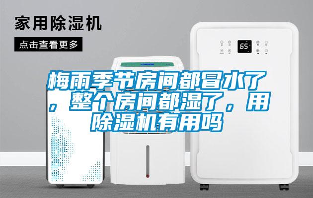 梅雨季節(jié)房間都冒水了，整個(gè)房間都濕了，用除濕機(jī)有用嗎