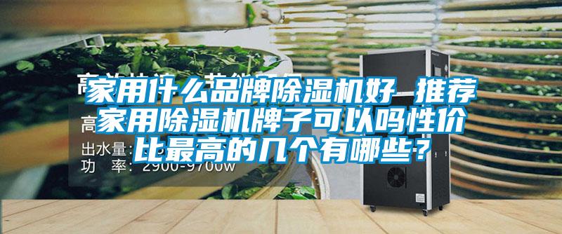 家用什么品牌除濕機好 推薦家用除濕機牌子可以嗎性價比最高的幾個有哪些？