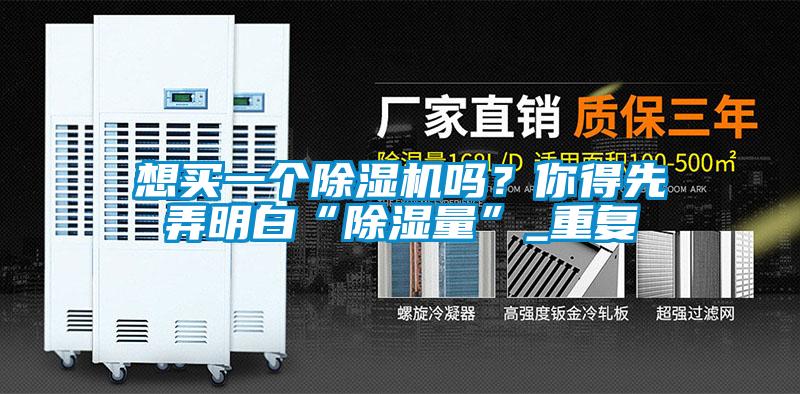 想買(mǎi)一個(gè)除濕機(jī)嗎？你得先弄明白“除濕量”_重復(fù)