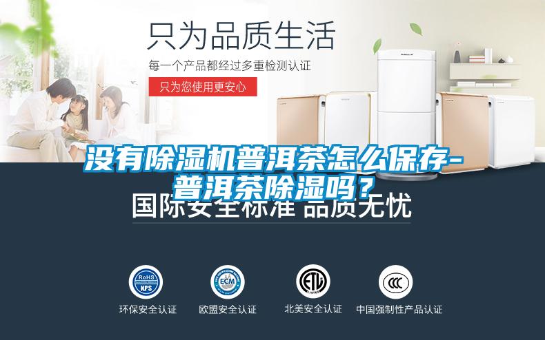 沒有除濕機普洱茶怎么保存-普洱茶除濕嗎？