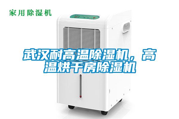 武漢耐高溫除濕機，高溫烘干房除濕機