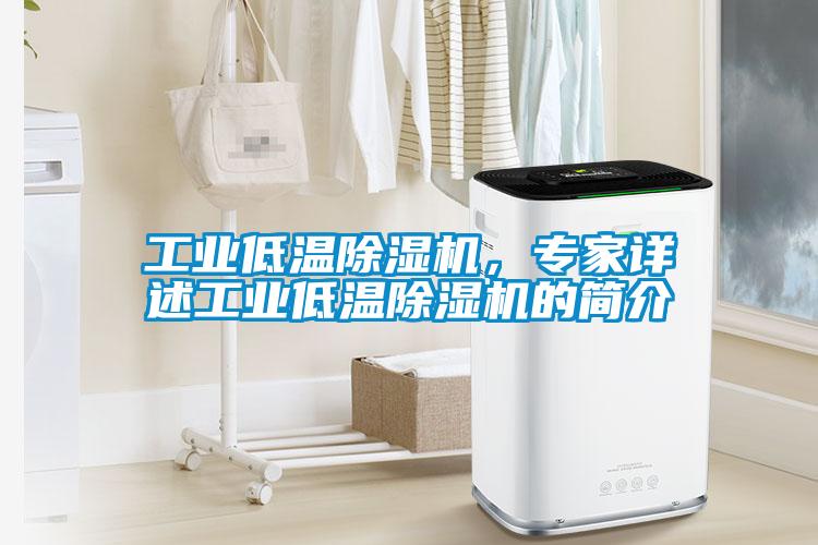 工業(yè)低溫除濕機(jī)，專家詳述工業(yè)低溫除濕機(jī)的簡(jiǎn)介