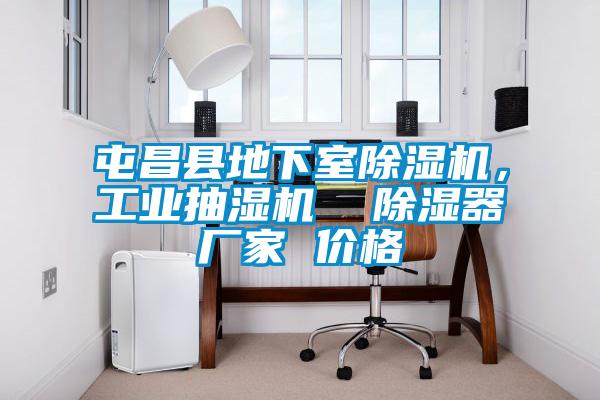 屯昌縣地下室除濕機(jī)，工業(yè)抽濕機(jī)  除濕器廠家 價(jià)格