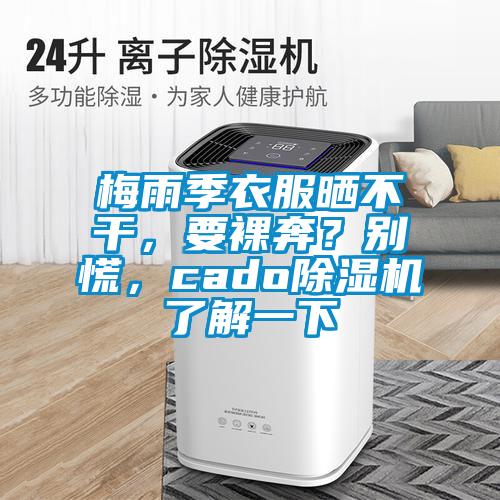 梅雨季衣服曬不干，要裸奔？別慌，cado除濕機了解一下