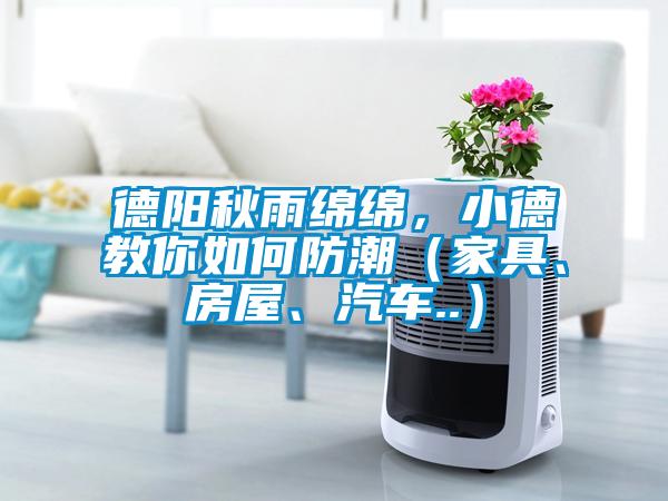 德陽秋雨綿綿，小德教你如何防潮（家具、房屋、汽車..）