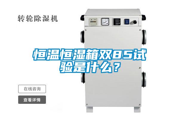 恒溫恒濕箱雙85試驗(yàn)是什么？