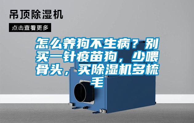 怎么養(yǎng)狗不生病？別買(mǎi)一針疫苗狗，少喂骨頭，買(mǎi)除濕機(jī)多梳毛