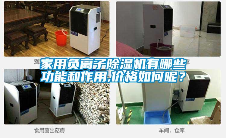 家用負(fù)離子除濕機(jī)有哪些功能和作用,價(jià)格如何呢？