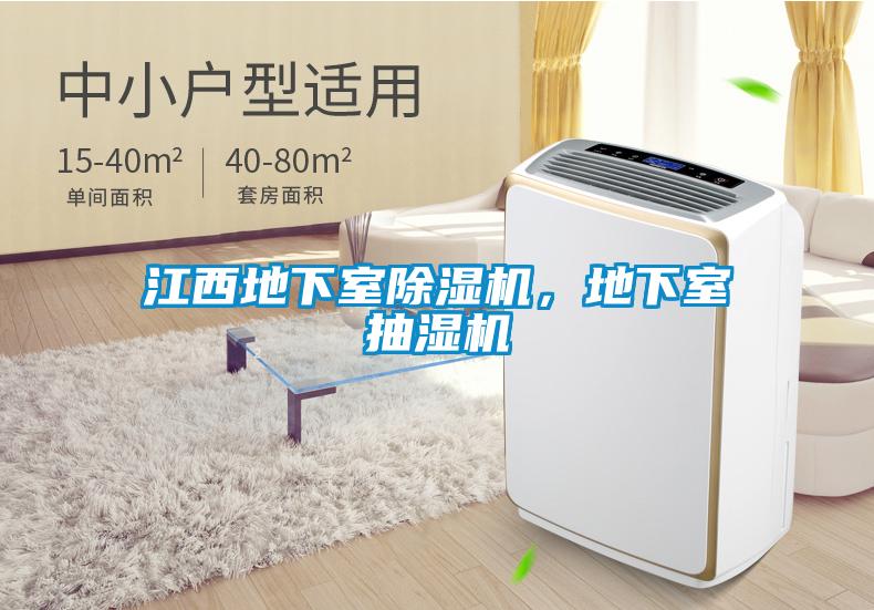 江西地下室除濕機(jī)，地下室抽濕機(jī)