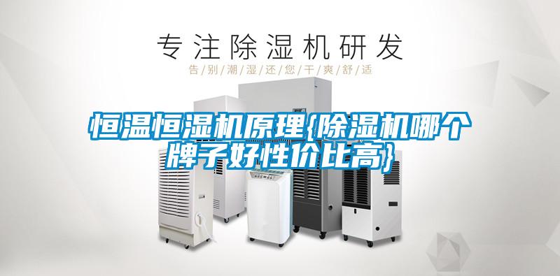 恒溫恒濕機(jī)原理{除濕機(jī)哪個(gè)牌子好性?xún)r(jià)比高}