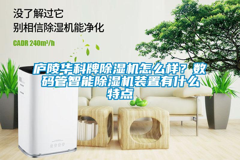 廬陵華科牌除濕機怎么樣？數(shù)碼管智能除濕機裝置有什么特點