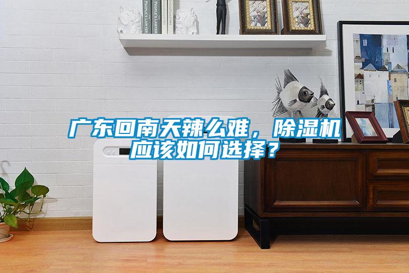 廣東回南天辣么難，除濕機(jī)應(yīng)該如何選擇？