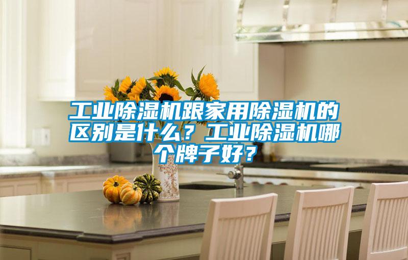 工業(yè)除濕機(jī)跟家用除濕機(jī)的區(qū)別是什么？工業(yè)除濕機(jī)哪個(gè)牌子好？