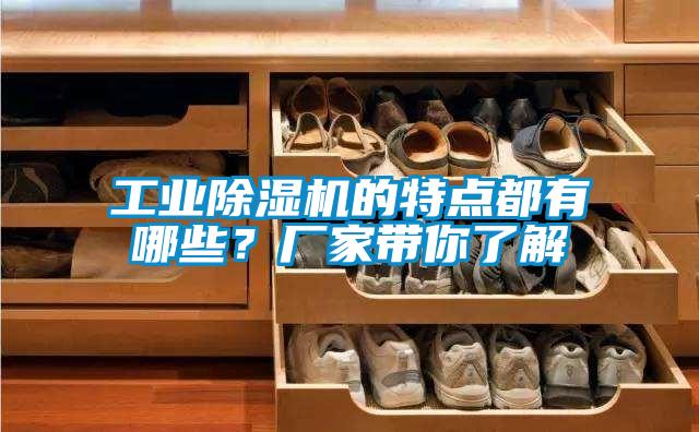 工業(yè)除濕機(jī)的特點(diǎn)都有哪些？廠家?guī)懔私?/></p>
						    <p style=