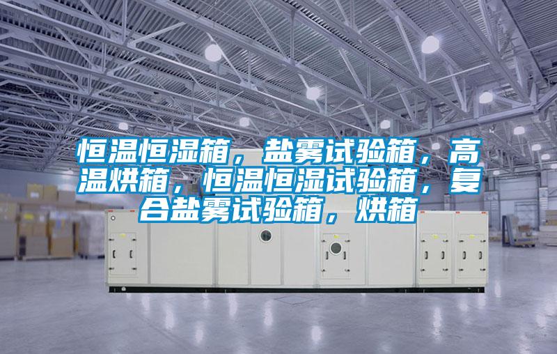 恒溫恒濕箱，鹽霧試驗(yàn)箱，高溫烘箱，恒溫恒濕試驗(yàn)箱，復(fù)合鹽霧試驗(yàn)箱，烘箱
