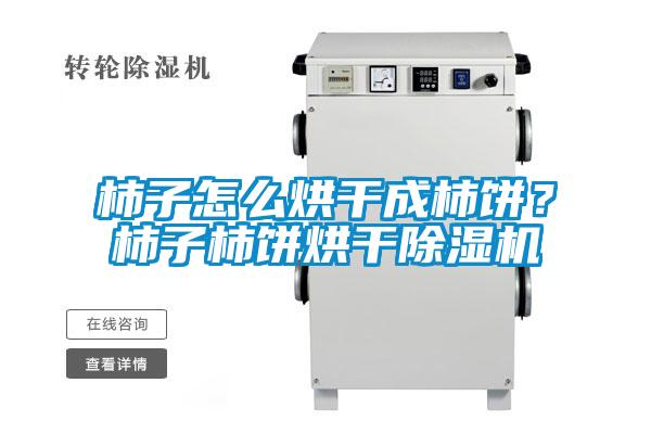 柿子怎么烘干成柿餅？柿子柿餅烘干除濕機(jī)