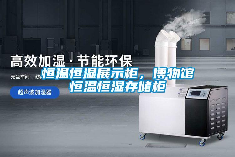 恒溫恒濕展示柜，博物館恒溫恒濕存儲柜