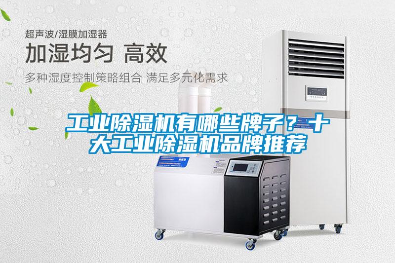 工業(yè)除濕機有哪些牌子？十大工業(yè)除濕機品牌推薦